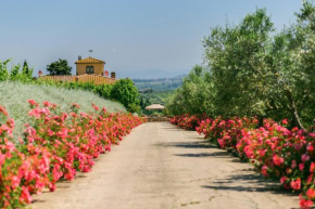 Sole del Chianti